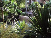 photos 2000-200902615